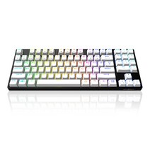 마이크로닉스 PRO 게이밍기계식 RGB 청축, 텐키리스, MANIC EX89, 블랙 + 화이트