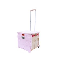 코드리빙 다용도 접이식 폴딩 카트 덮개포함 CODE-FC-ABP40KCB, 베이지 + 연보라, 1개