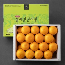 올레길감귤 당도선별 진지향, 3kg, 1세트