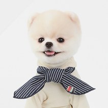 에이미러브즈펫 반려견 폼스카프 S, SP네이비2, 1개