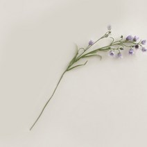 진심디자인 조화 라벤더 방울꽃, 혼합색상
