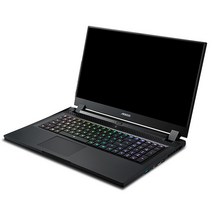 기가바이트 2021 AORUS 17G YD, 블랙, 코어i7 11세대, 512GB, 32GB, Free DOS, AORUS 17G YD Limited
