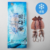 해풍수산 영덕항 반건조 오징어 소 10미 (냉동), 650g, 1개