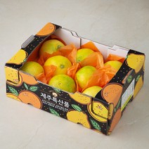 탐라황감 서귀포 황금향, 2kg, 1개