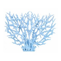 찐노마진몰 인조산호 라지 20cm, 블루(03 DC2BW), 1개