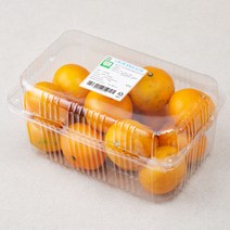 느영나영 친환경 인증 제주 노지 감귤, 1.5kg, 1팩