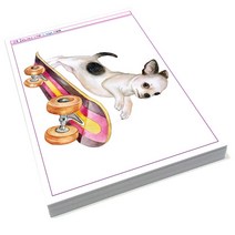 개와 고양이 수채화 코팅 교재, 미술북, 김창래