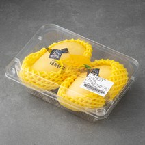 로얄타이 태국산 망고 2입, 500g, 1팩