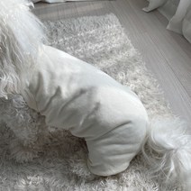 그루밍독 반려동물 캐주얼 트레이닝복 나시 올인원, 아이보리