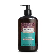 아르가니케어 아르간 건조 & 손상모발용 샴푸, 400ml, 1개