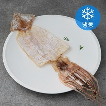 반건조 오징어 (냉동), 70g, 1개