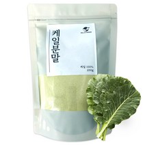 헬로우그린 케일 분말 팩, 1개, 250g