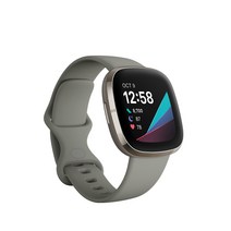 핏빗 Sense 스마트워치, 세이지그레이, 4cm, GPS+Cellular