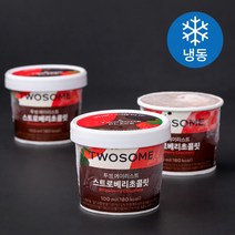 투썸플레이스 에이리스트 아이스박스 아이스크림 (냉동), 3개, 100ml