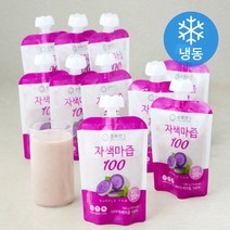 천혜연 자색마즙 100 10입 (냉동), 1000g, 1개