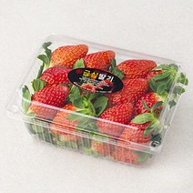 산지직송 예담 진주 금실딸기, 500g(특), 1개