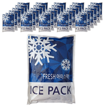 젤 아이스팩 16 x 23 cm, 44개, 1개입