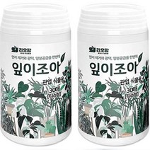 잎이조아 광택 및 먼지제거 청결 유지제 티슈형 30p, 2개