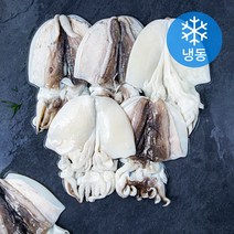 피시원 손질 갑오징어 (냉동), 3kg, 1개