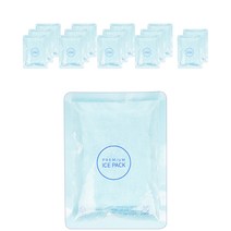 우림 완제품 젤 아이스팩 중, 15개, 1개입