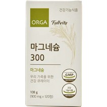올가홀푸드 풀비타 마그네슘 300 108g, 120정, 1개