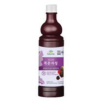 건강스토리 복분자청 엑기스, 900ml, 1개