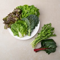 국내산 삼겹살용 모둠쌈, 450g, 1팩
