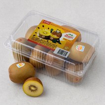 제스프리 썬골드키위 점보, 1.55kg (10~11입), 1개