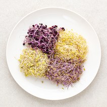 새싹 채소, 50g, 1팩
