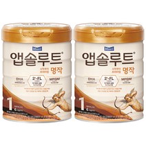 앱솔루트 명작 2FL 분유 1단계, 800g, 2개