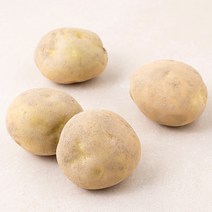 곰곰 햇감자, 500g, 1봉