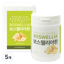 갑당약초 보스웰리아환 고급형, 5개, 100g