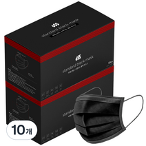 비에스에스마스크 일회용 스탠다드블랙 마스크 성인용, 50개입, 10개, 블랙