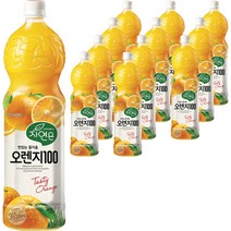 자연은 365일 오렌지 100 주스, 1500ml, 12개