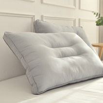 블레딕홈 퓨리케어 빨아 쓰는 입체 베개 2p, 블루그레이, 2개