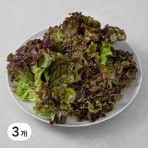 국내산 적상추, 150g, 3개