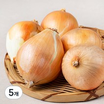 국내산 친환경 양파, 800g, 5개