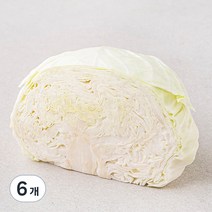 곰곰 친환경 양배추 1/2통, 500g, 6개