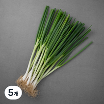 곰곰 국내산 친환경 흙대파, 800g, 5개