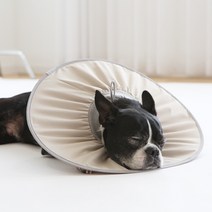 펫인뷰티 반려동물 제로 넥카라 오트밀 M, 50g, 1개