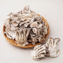 국내산 무농약 느타리버섯, 1kg, 1팩