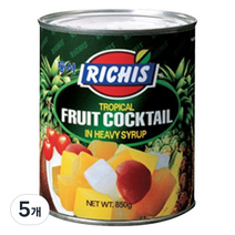 (주)동서 후르츠칵테일 캔, 850g, 5개