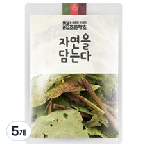 조은약초 삼백초 잎, 5개, 100g