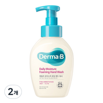 더마비 데일리 모이스처 포밍 핸드 워시 파우더리 앤 바닐라, 2개, 500ml
