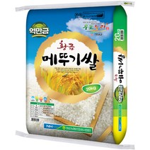 창녕군농협 황금 메뚜기쌀, 20kg, 1개