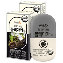 로엘 웰업 활기찬 아침 블랙마카정 L아르지닌 함유 4개월분, 2개, 60정