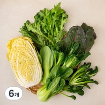 샤브샤브용 모둠채소, 550g, 6개