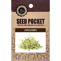 월드가드닝 행복한 텃밭 좋은 씨앗 브로콜리 새싹씨 30그램, 1개