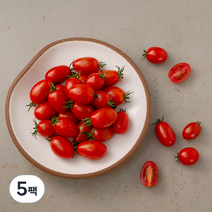 한반도 대추방울토마토, 1kg, 5팩