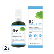 더허브샵 쿨샷 스프레이 페퍼민트향, 50ml, 2개